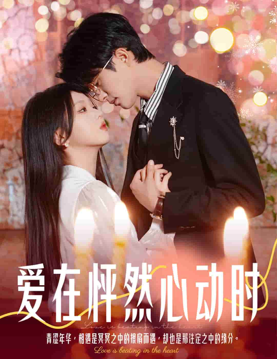 结婚你不答应离职你追什么第29集